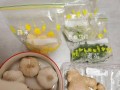 葱花冷冻保存的正确方法（如何保持葱花的新鲜口感？）