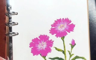 以石竹花怎么繁殖为主题写文章（探索石竹花的繁殖方式，快速扩大花园的美丽）