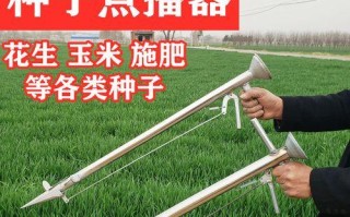 如何种植花生种子（花生种植的详细步骤和注意事项）