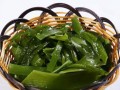 揭秘海带真正的等级（从科学角度看待“低等植物”这一称谓）