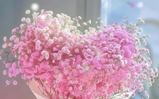 水瓶座适合养什么花？（探索水瓶座的最佳花卉选择）