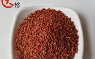 构树果实的食用价值（从营养到健康，都有惊人的功效）