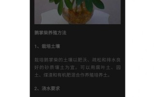 鹅掌柴养护全攻略（掌握鹅掌柴养殖诀窍，打造绿意盎然的家园）