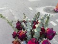 米兰花语的含义及象征意义（揭秘米兰花语的玄妙世界）