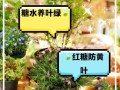 洗衣水能不能浇花？看看这里的答案！