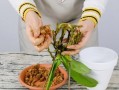 饭菜工程（保护农作物健康成长的关键技巧与方法）