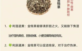 救命草有毒吗？室内养护指南（救命草的毒性探究，适合放在哪些场所？）