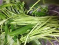 如何挑选新鲜美味的空心菜（挑选技巧、口感、营养、产地等全方位解析）