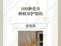 如何种植腊梅种子（腊梅种子种植指南及注意事项）