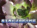 法师的养殖方法与技巧（探索法师的培育之道，助你成为优秀的法师）