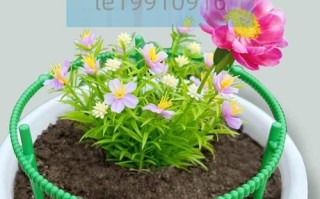 打造简易的太阳花盆栽架，让阳光充满生活（DIY花盆栽架子的简易方法，实现家居阳光种植）