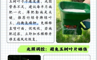 揭秘玉树卷叶子之谜（解析玉树卷叶子的成因与影响）