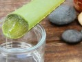仙人掌如何从水中生长（水是仙人掌生长的关键）