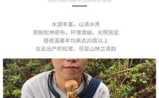 松茸的生长条件是什么？揭秘松茸生长的环境条件及特点