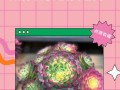 多肉魔法师（多肉植物养护指南及繁殖技巧）
