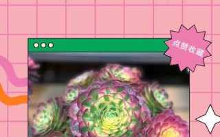 多肉魔法师（多肉植物养护指南及繁殖技巧）