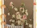 夫妻海棠的养殖方法和注意事项（打造美丽花园，从夫妻海棠开始）