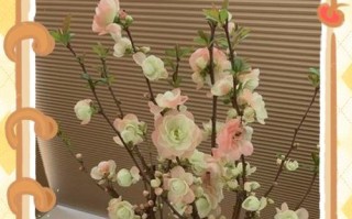 夫妻海棠的养殖方法和注意事项（打造美丽花园，从夫妻海棠开始）