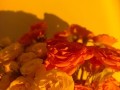 成为植物养护专家（花卉养护指南，让你的花朵长盛不衰）
