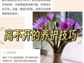 睡莲叶子发黑腐烂的原因及解决方法（保护睡莲叶子的关键措施）