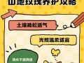 山地玫瑰的侧芽生长技巧（培育山地玫瑰侧芽的关键步骤及注意事项）
