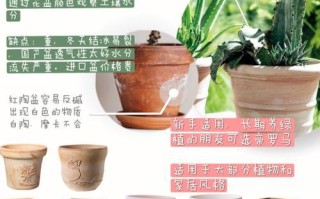 轻松减轻花盆重量的小窍门（让花盆更易搬动，轻松打理花园）