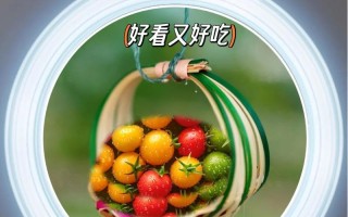 如何正确打顶圣女果？（打顶时间和方法步骤详解）