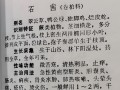 翠云草叶子发黑的原因及处理方法（保护翠云草，让叶子重现生机）