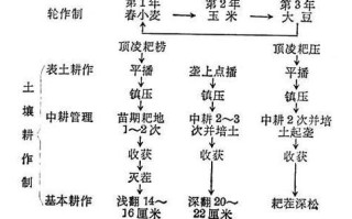 土壤发红的调理方法（解决土壤发红的有效措施及操作技巧）