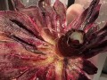 揭秘绿法师的盆爆技巧（探索绿法师怎样运用技能与策略爆发惊人威力）
