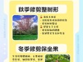 小区花草树木修剪指南（打造美丽宜居的绿色家园）