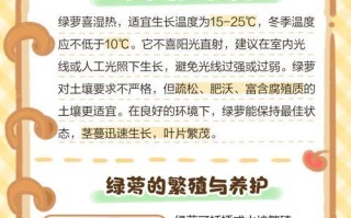 绿萝茎软了怎么办？救救萎靡的绿萝吧！（急救措施和养护建议让绿萝重获活力）
