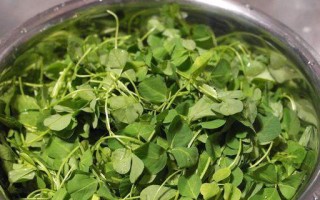 草头是什么？草头的别名、特征和用途详解（认识草头，了解这个神奇的植物）