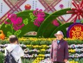 菊花代表什么生肖：探究菊花文化与生肖的深度关联