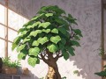 招财树长虫怎么处理？（招财树虫害防治与养护）