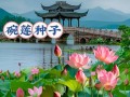 精彩味蕾（探索荷花子的烹饪艺术，开启味蕾的魔幻之旅）