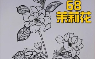 茉莉花瓣的绘画技巧（揭秘茉莉花瓣绘画的魅力与技巧）