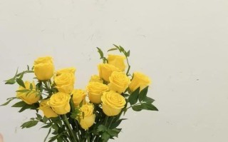 剪枝后的玫瑰，如何打理成盛开花朵（关键步骤与养护技巧，让玫瑰焕发绚丽的生机）