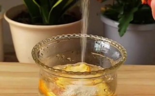发酵牛奶浇花的神奇之处（打造健康花园，从发酵牛奶开始）