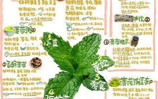 胡椒薄荷种植指南（学会种植胡椒薄荷的关键技巧）