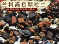 颗粒土（探究颗粒土的成因和特征）