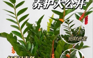 秋季黄叶怎么处理（保护环境从处理秋季黄叶开始）