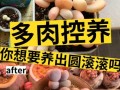 姬月多肉养护指南（轻松掌握姬月多肉的养殖技巧）