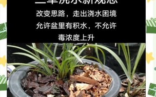 探秘兰草的多样品种及特色（从花形、色彩到气味，兰草的品种繁多）