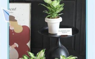 花叶万年叶子黄焉？教你恢复叶片健康的方法！（挽救叶子黄化，让花叶万年苏醒的秘诀揭晓）