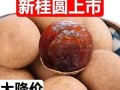 如何正确保存桂圆肉？（冷冻保存是个好选择！）