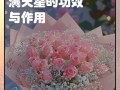 满天星的花语之不同颜色的含义（解读满天星不同颜色所蕴含的花语，揭示情感和心情）