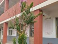 教室养花（避免过度浇水的技巧和解决方法）