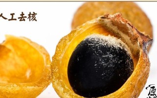 以老无患子，赋予新生命（用老为主题，书写新篇章）