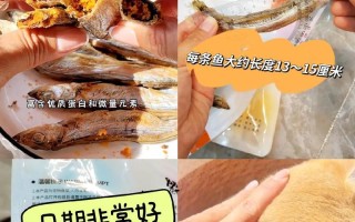 野生鱼子的养殖技巧（培养出高品质鱼子的关键）